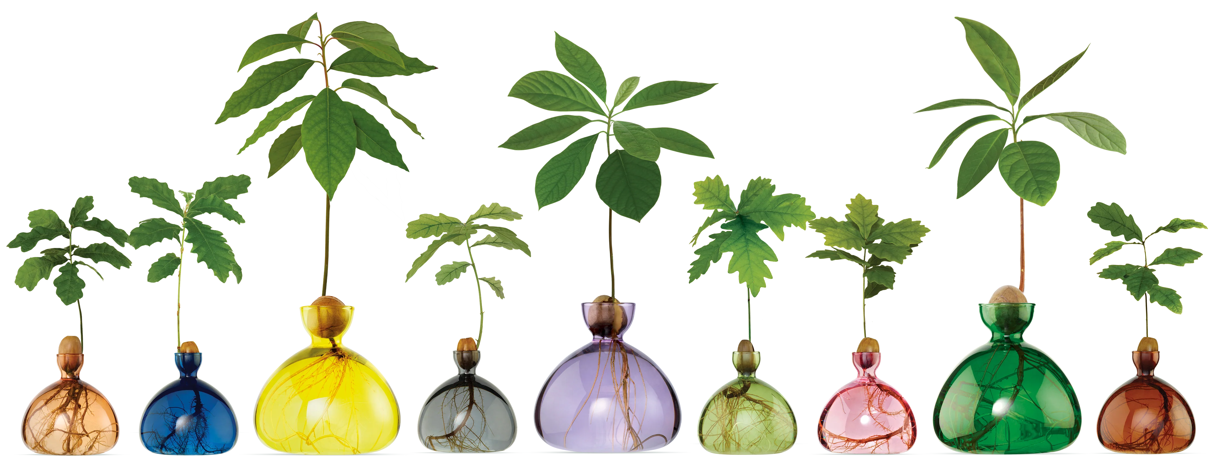 Welcome to Our Store