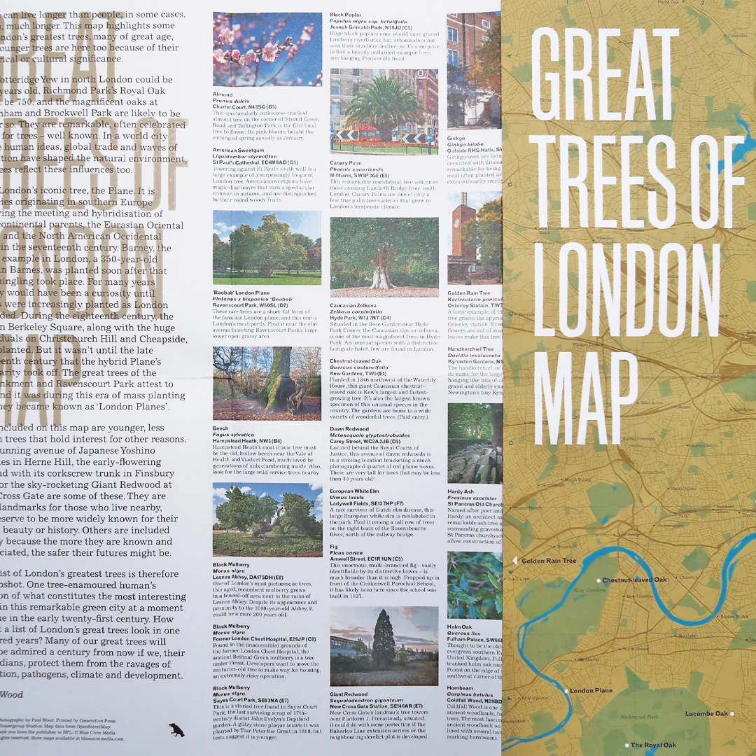 Great Trees of London Map - Image 3