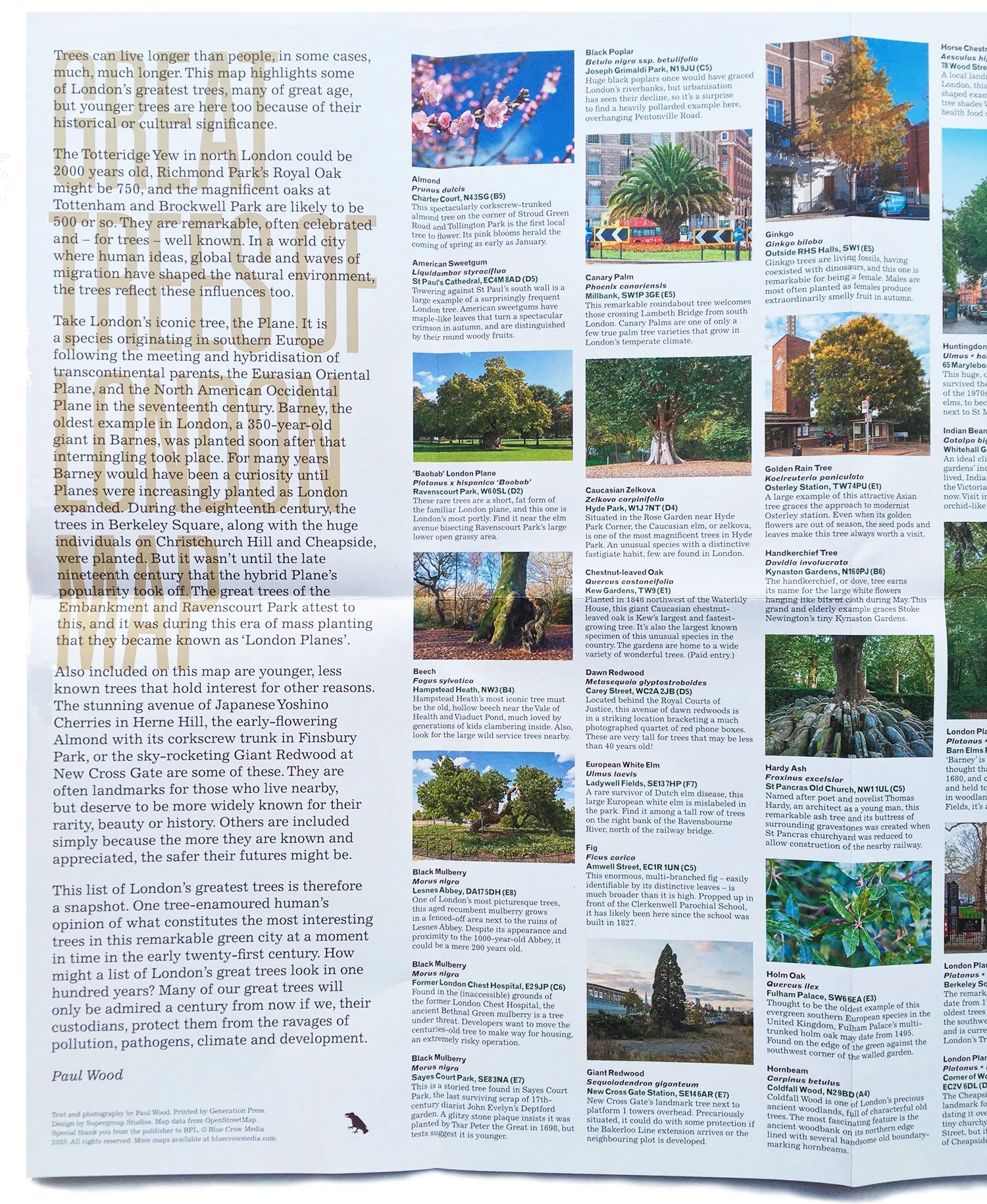 Great Trees of London Map - Image 4