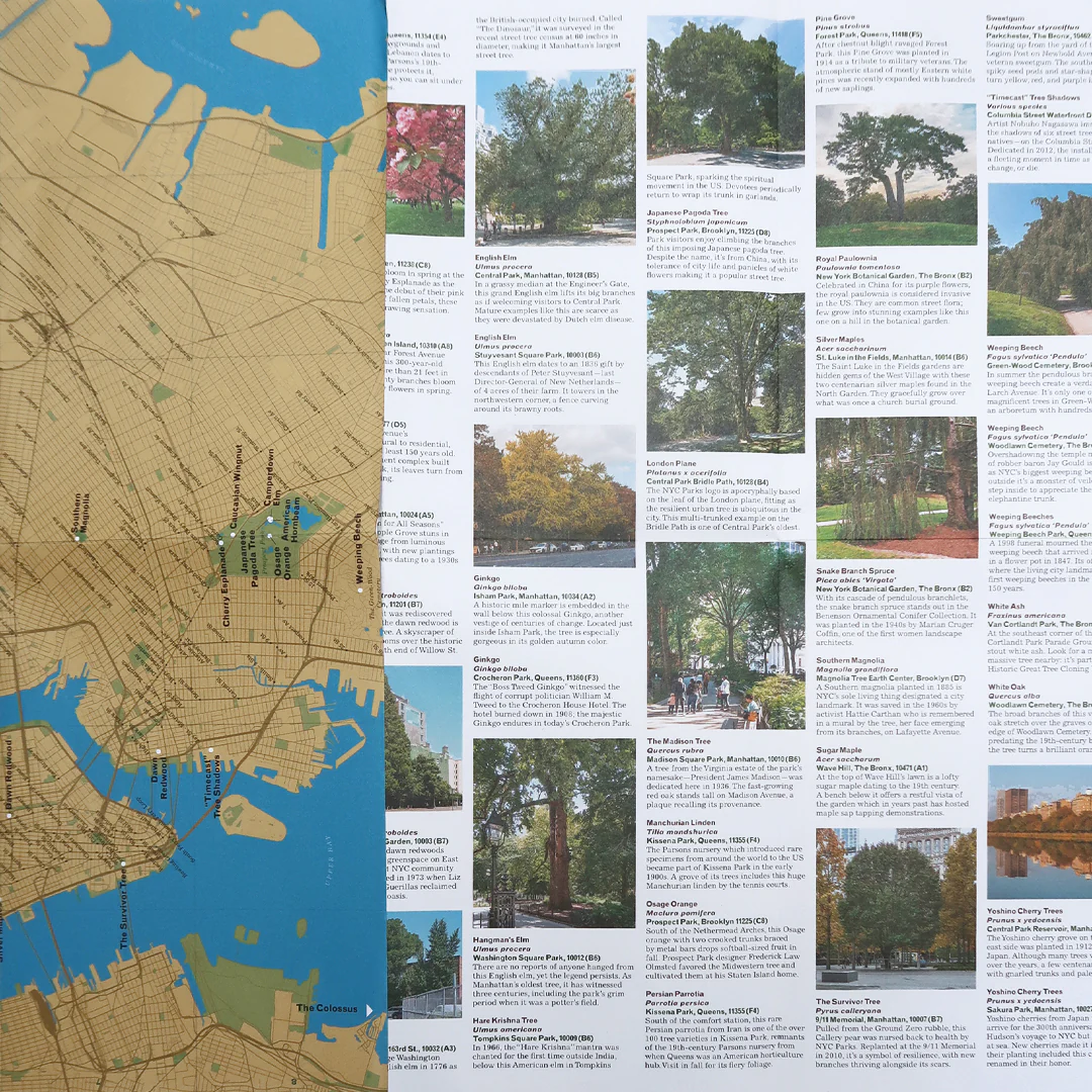 Great Trees of New York Map - Image 3