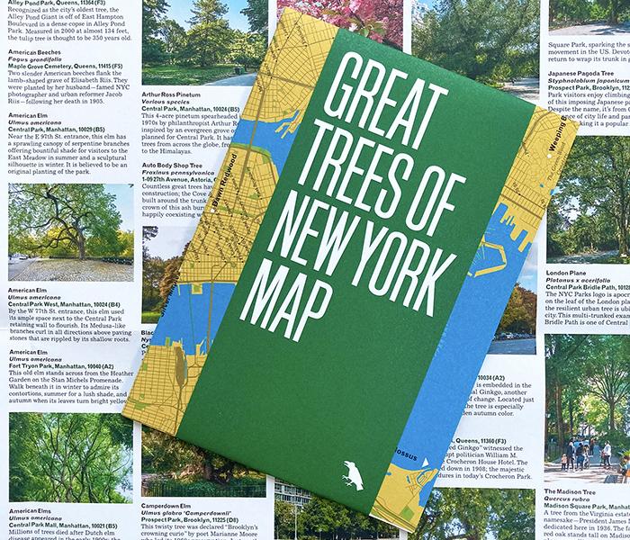 Great Trees of New York Map - Image 5